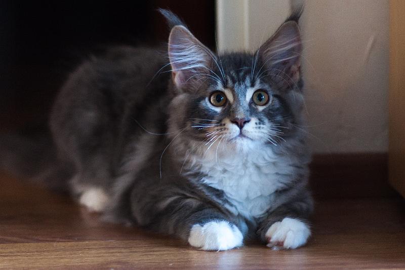 Bertta17_9_2013.jpg - Bertta 17.9.2013 (c) Ville Ruusunen