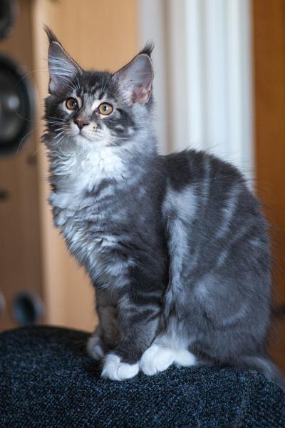 Berttasyyskuu2013.jpg - Bertta syyskuu 2013 (c) Ville Ruusunen