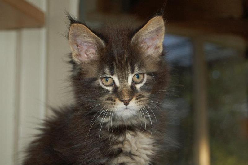 nina_hani_2_weeks_2.jpg - *